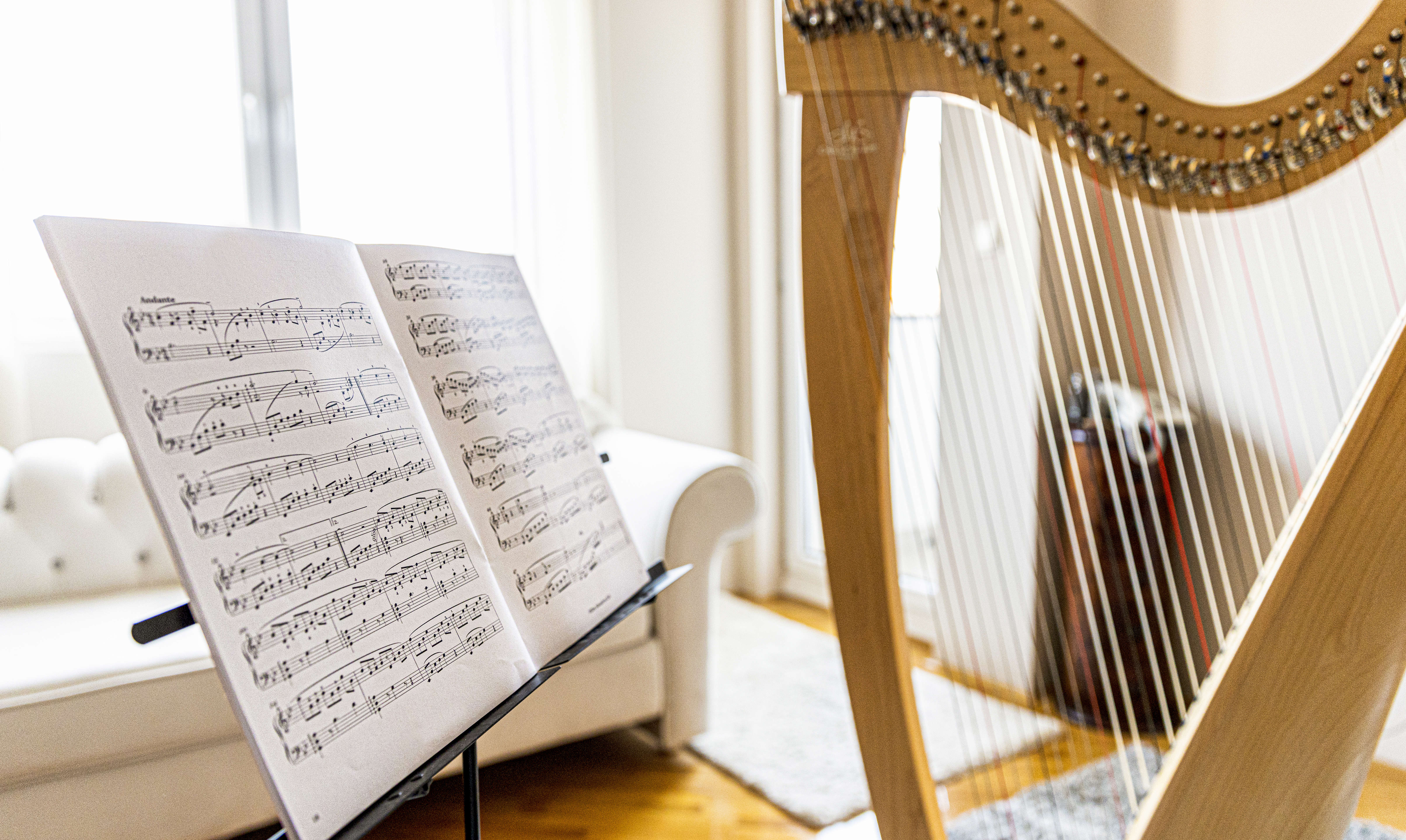 Main Image: an open book of sheet music on a stand, with a harp next to it.