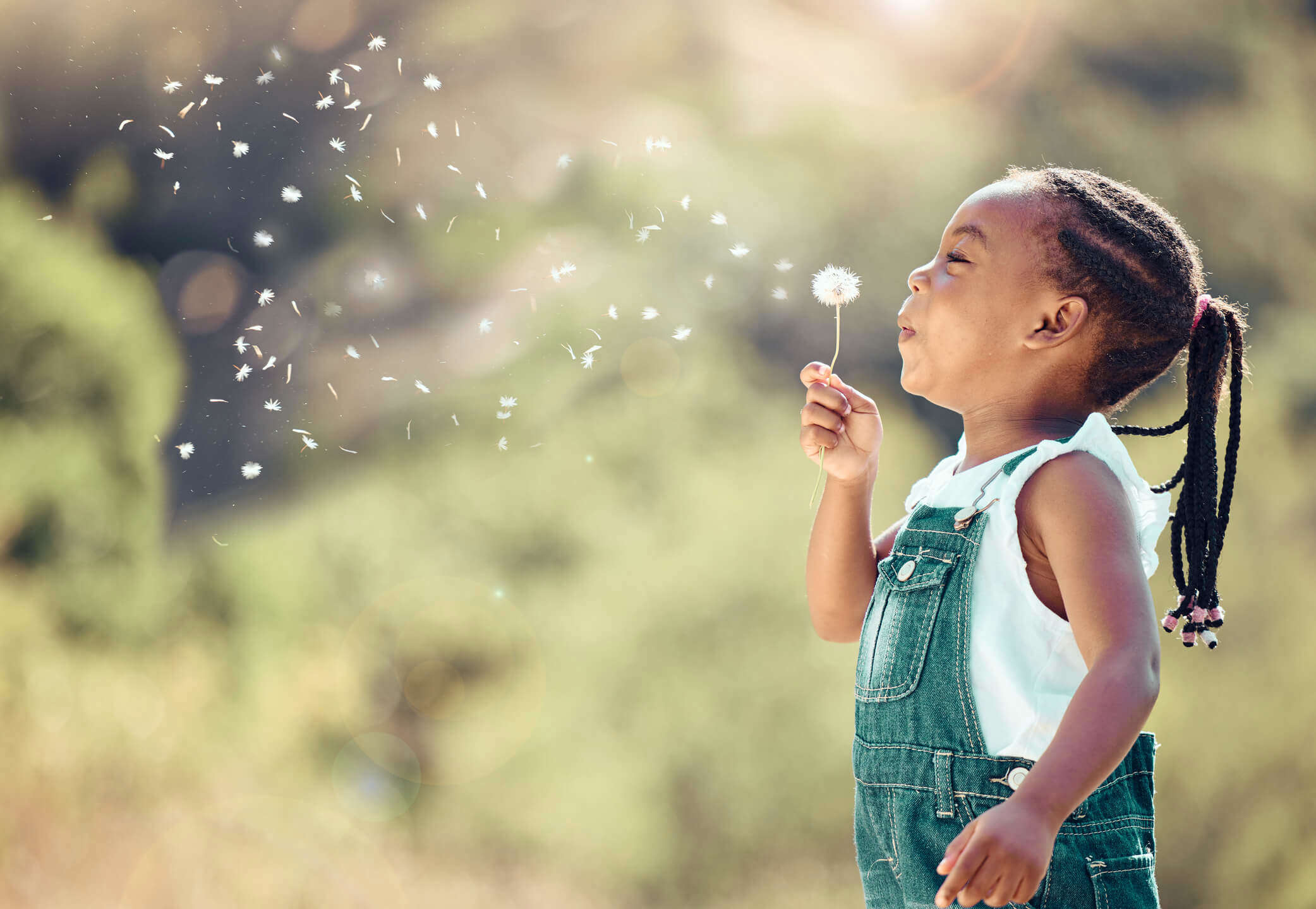 Cheerful child having fun playing and blowing a dandelion into the air in a park.