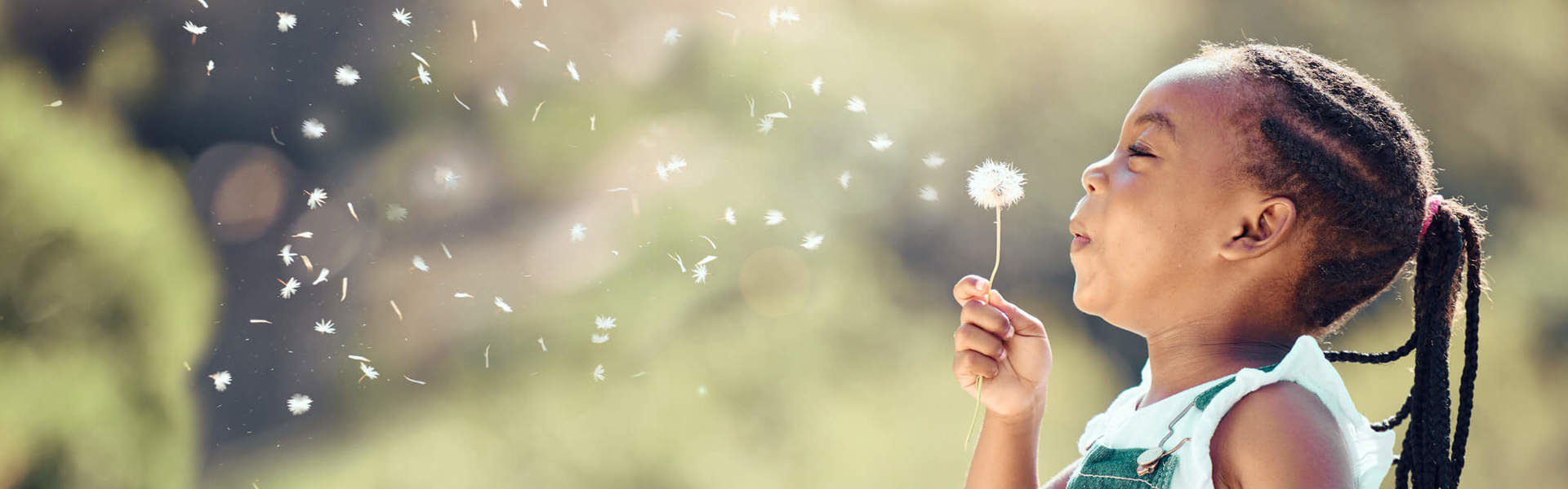 Cheerful child having fun playing and blowing a dandelion into the air in a park.