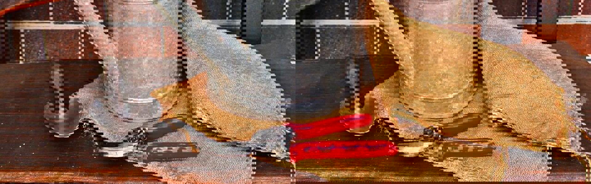 a watering can and red garden sheers and a garden trowel laid out on a wooden table against a brick wall