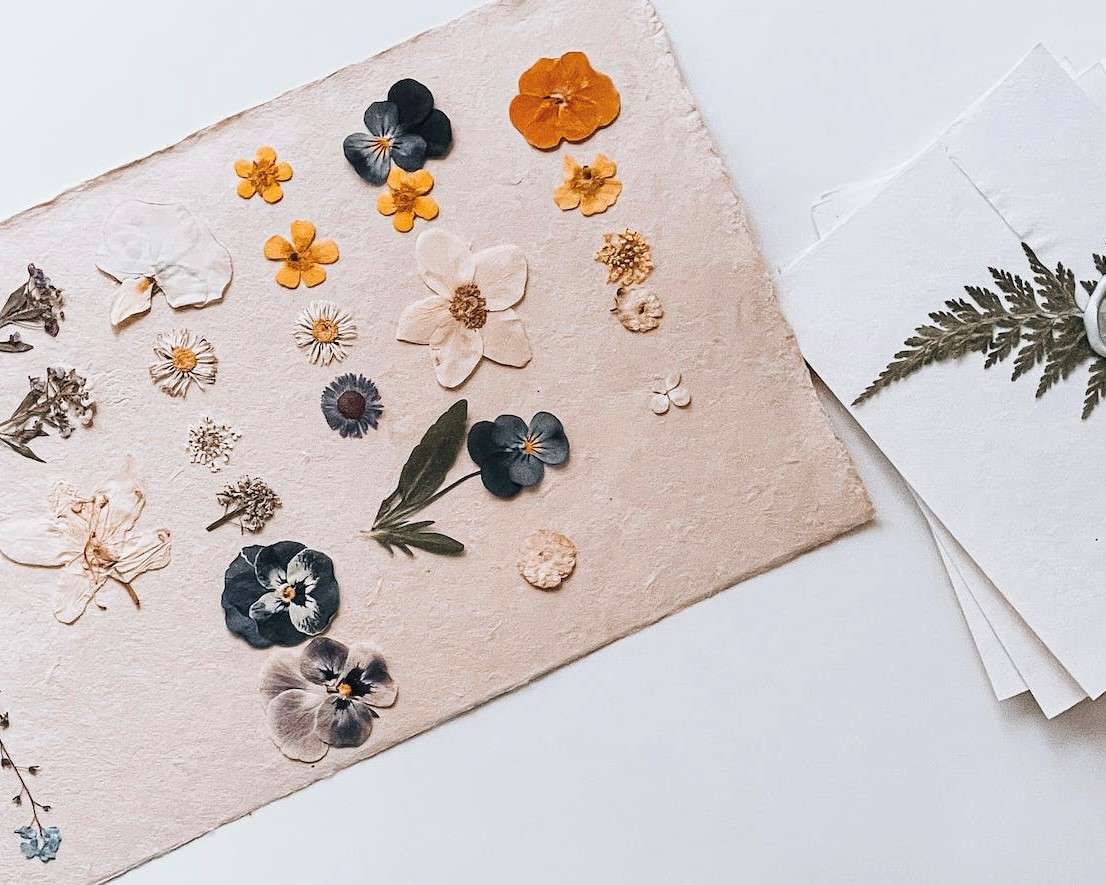 an assortment of colourful pressed flowers on homemade pressed paper