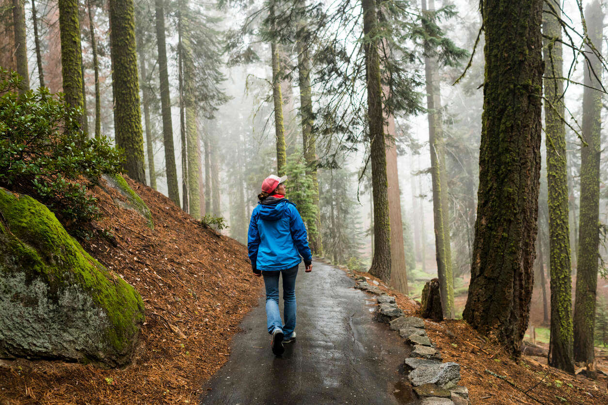 Female hiker enjoying the fresh morning hike through a misty wet forest