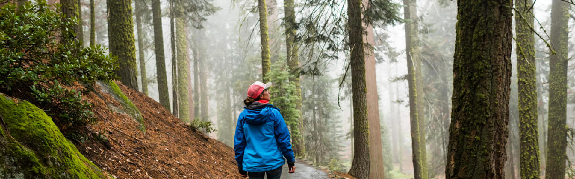 Female hiker enjoying the fresh morning hike through a misty wet forest