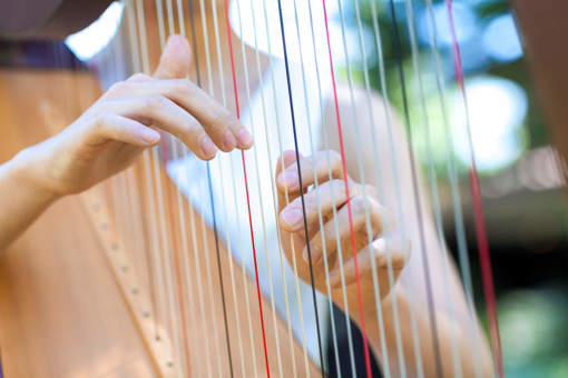 a close up of someone playing the harp