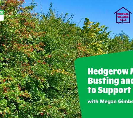 Text reads, "Hedgerow Myth Busting And How To Support Them with Megan Gimber" over an image of a hedgerow in the sunshine with blue skies.
