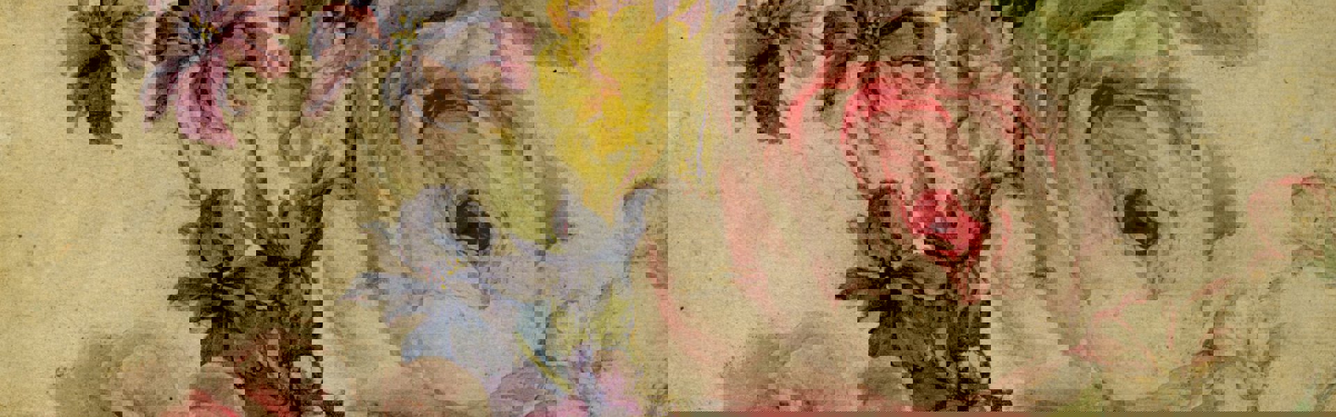 Main image: artwork by Mary Moser (British 1744-1819), Study of flowers; roses, marigolds and stocks, circa 1769-1793. Watercolour.