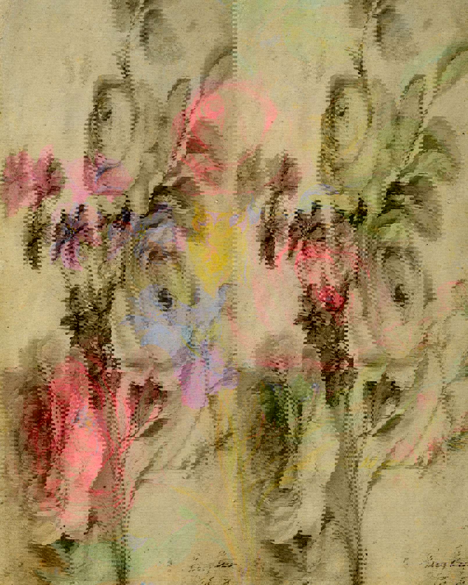 Main image: artwork by Mary Moser (British 1744-1819), Study of flowers; roses, marigolds and stocks, circa 1769-1793. Watercolour.