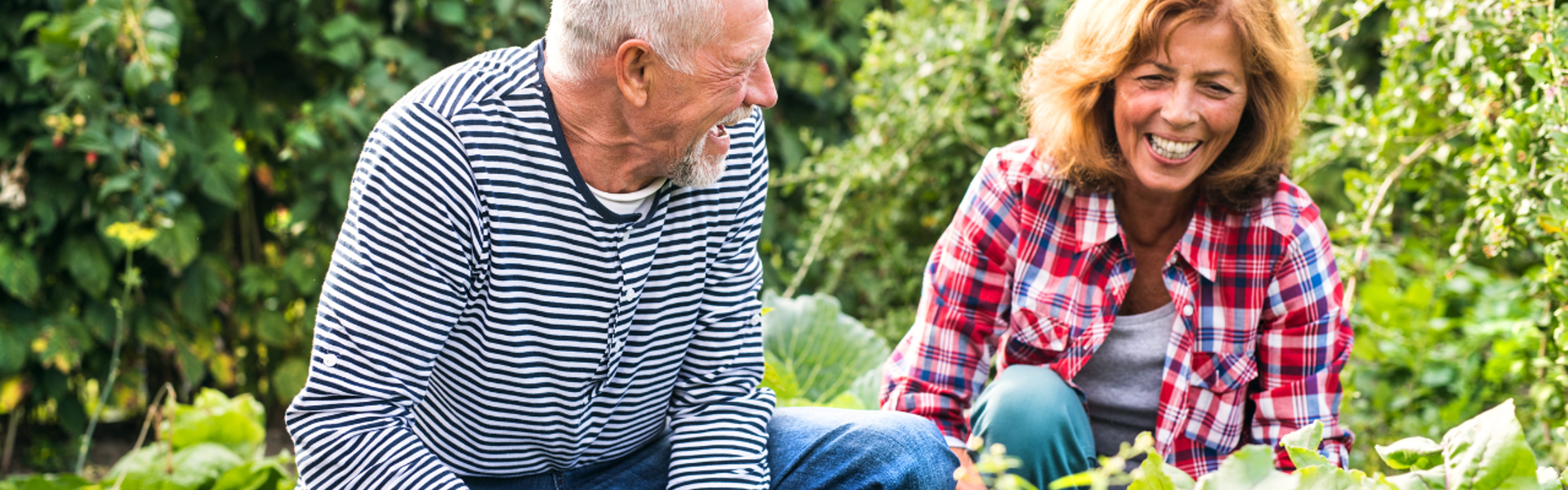 Main image: a man and woman laughing crouched down gardening as exercise. 