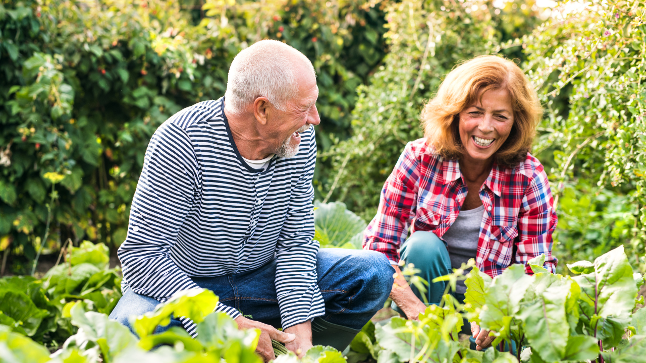Main image: a man and woman laughing crouched down gardening as exercise. 