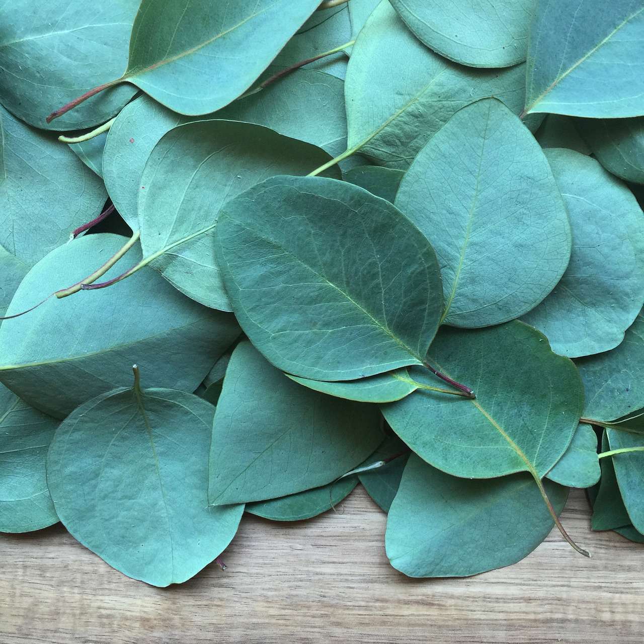 a pile of green leaves