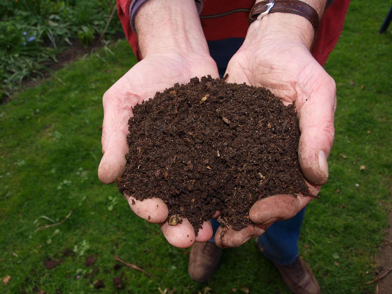 hands holding a pile of earth 