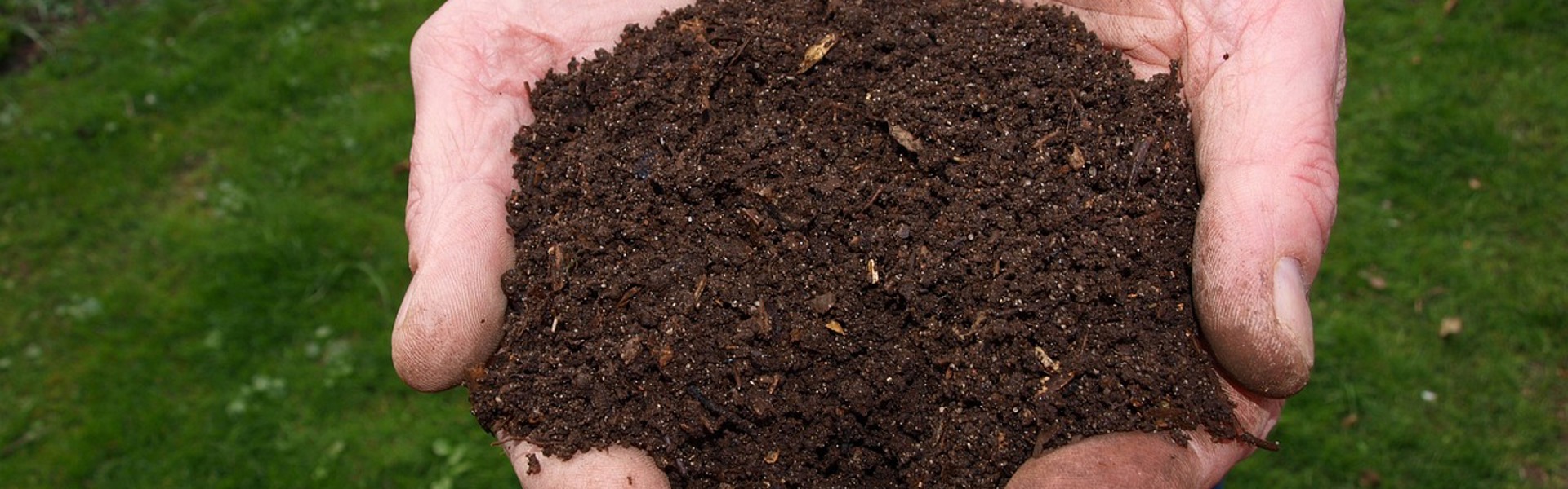 hands holding a pile of earth