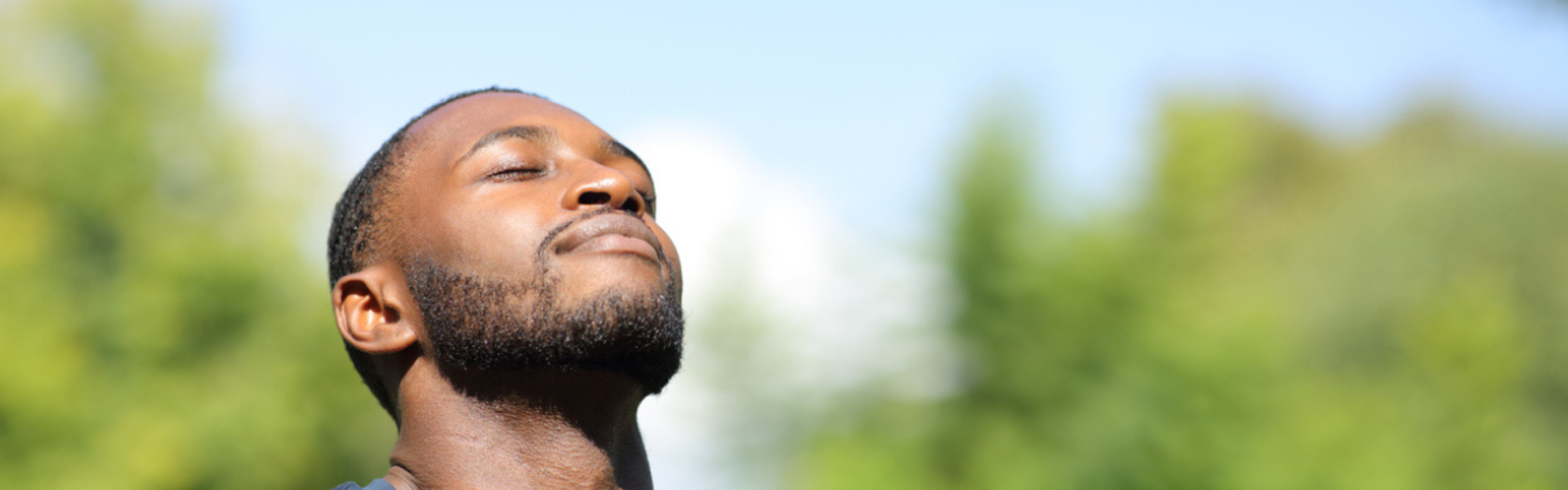 Main Image: a person standing in the sunshine, with trees in the background - eyes shut, enjoying the warm sun.