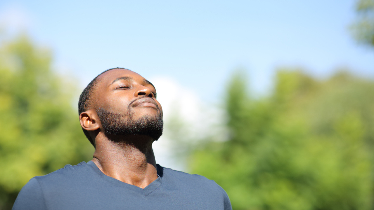 Main Image: a person standing in the sunshine, with trees in the background - eyes shut, enjoying the warm sun.