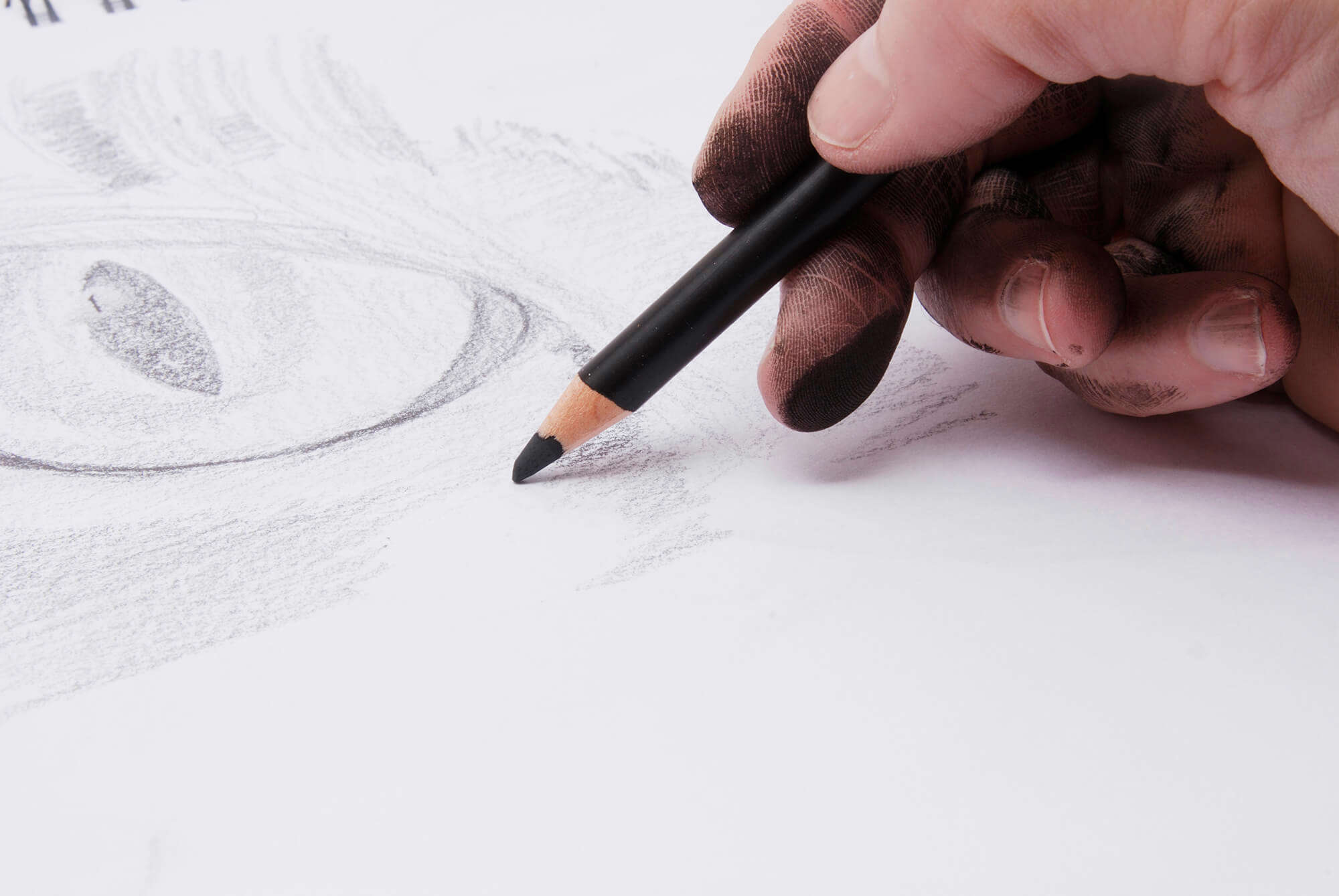 A pencil drawing being sketched