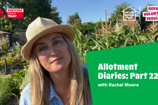 Allotment Diaries Part 22 Rachel Moore Streamyard Thumbnail