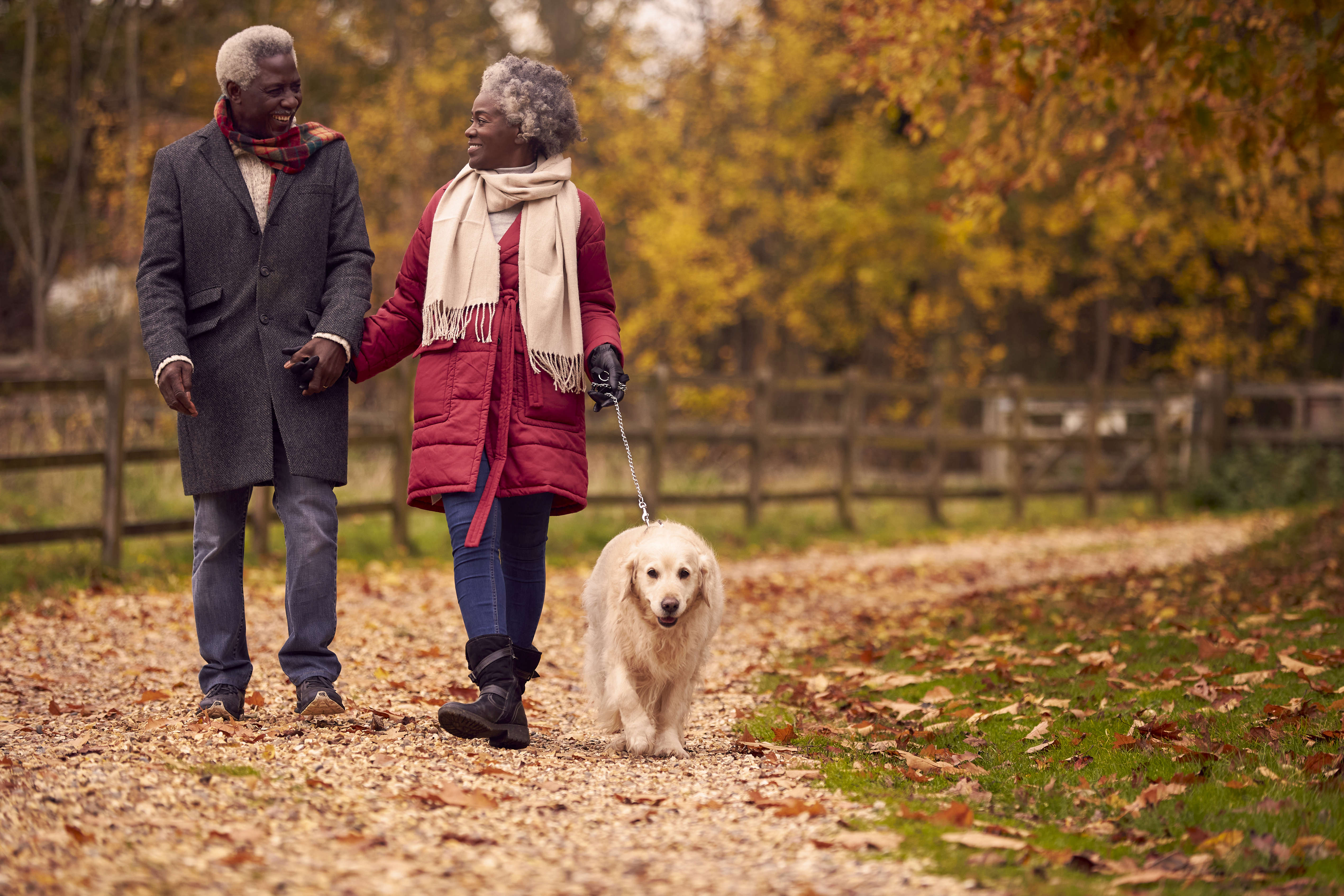 Main image: an older couple walking their dog in the park, in autumn with orange leaves in the trees and scattered around the path.