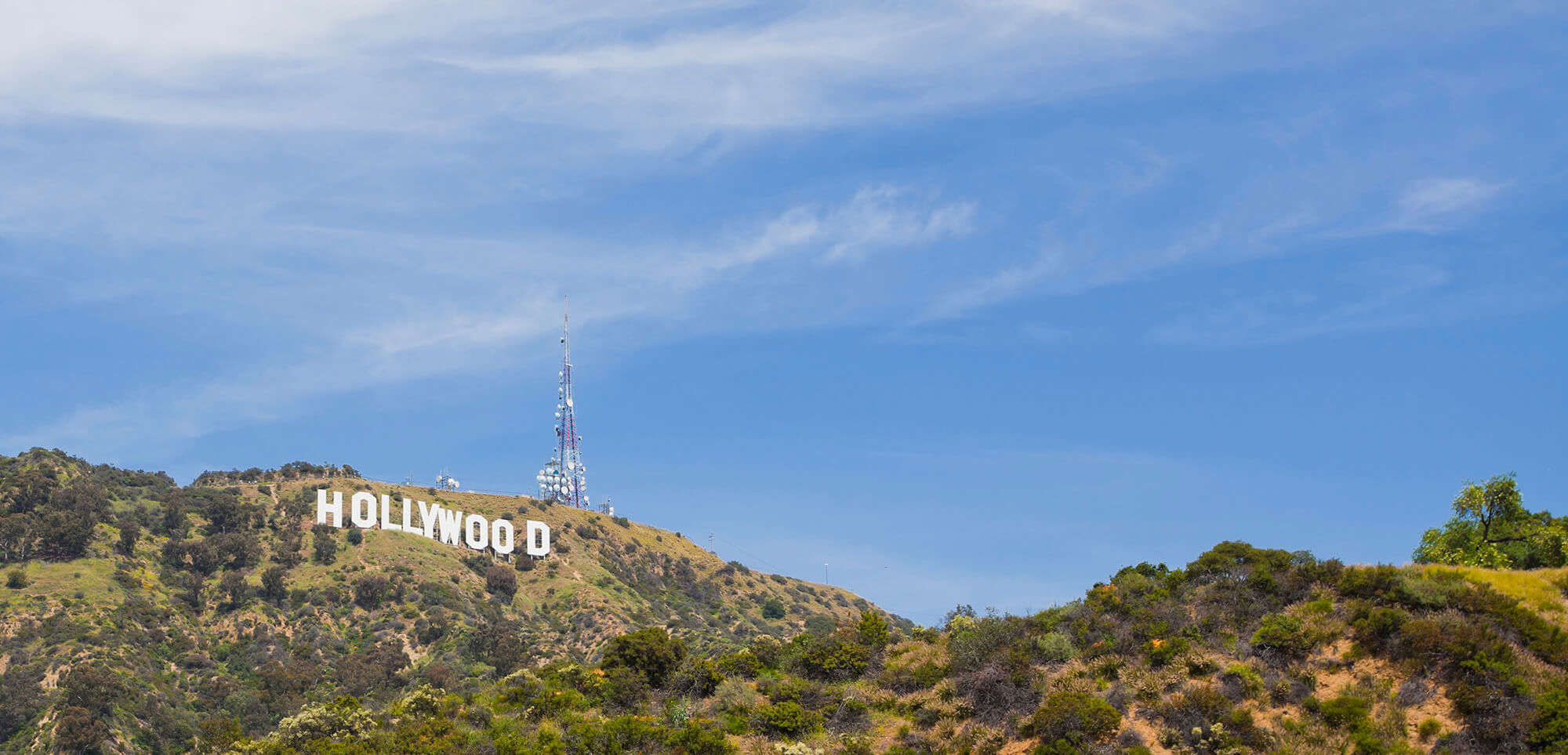 The Hollywood Hills