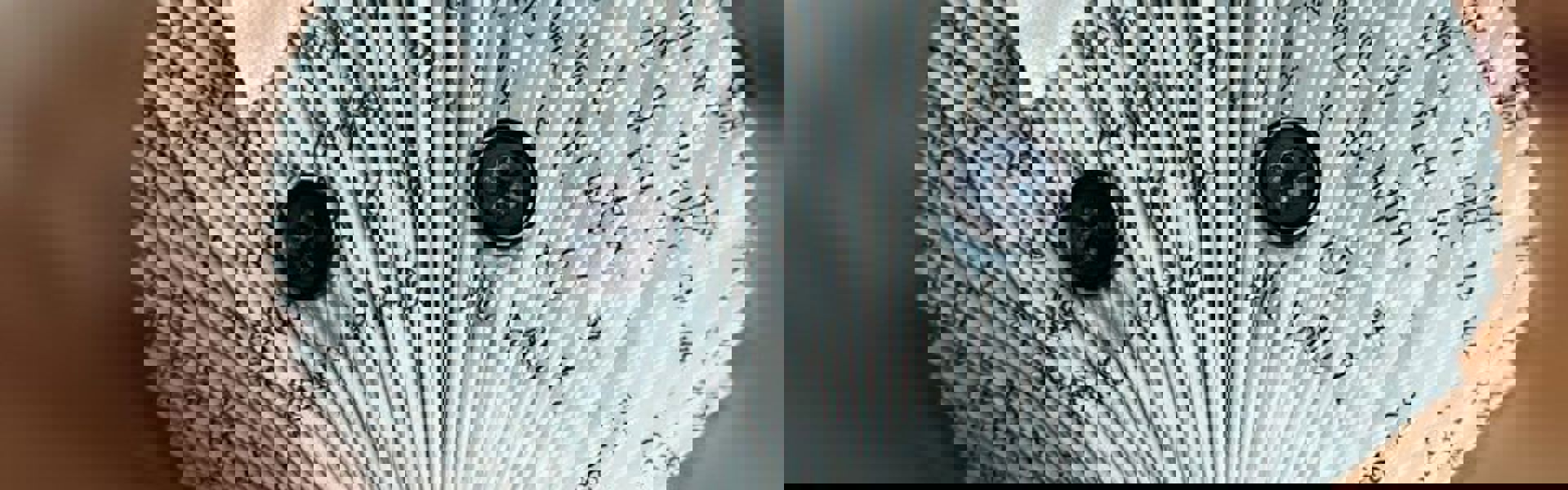 Main image: a paperback book turned into a cute hedgehog using book folding techniques and buttons as the eyes and nose, with a little ribbon accessory on the head.