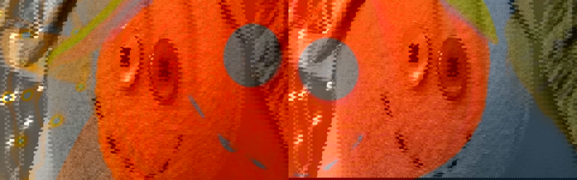 A pumpkin plushie made by Gemma Forde