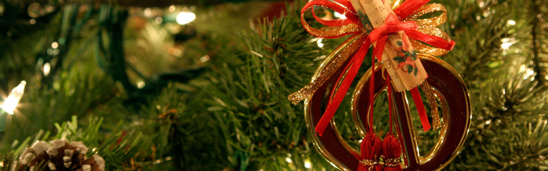 a close up of a Christmas ornament on a tree