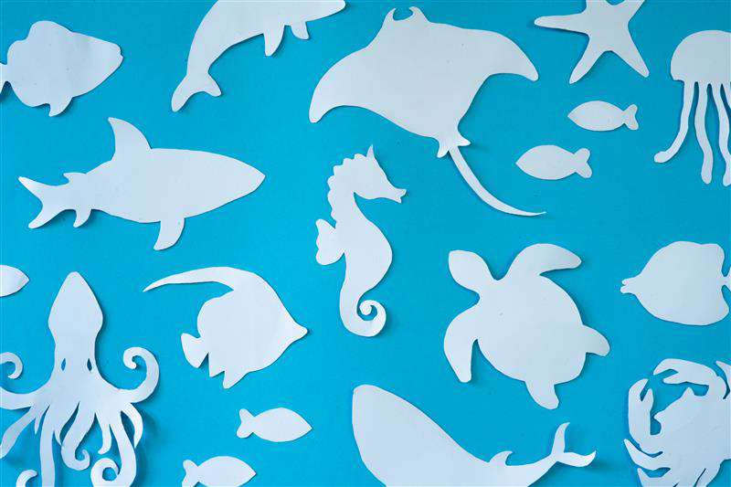 Main Image: underwater paper collage - blue paper with light blue paper sea creatures.