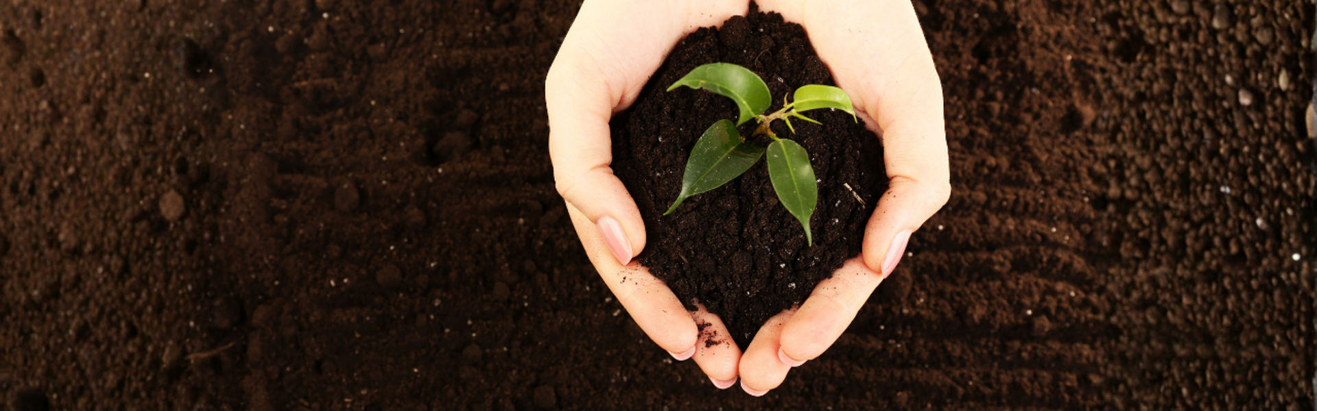 Main image: a woman holding a handful of healthy soil, with a little green seedling sticking out the top.
