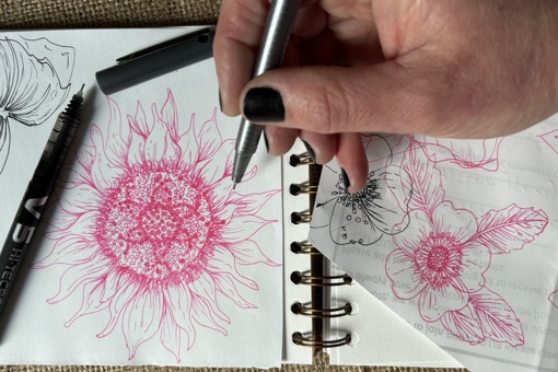 Main Image: A beautiful, pink line-drawing of flowers from Rachel's step by step flower illustration for beginners tutorial.