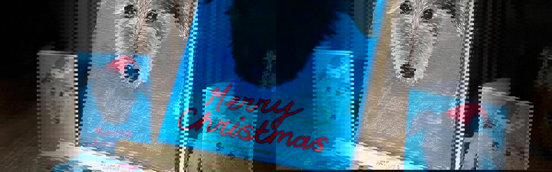 an easel with a portrait of a pet dog wearing a Christmas hat on a blue back ground