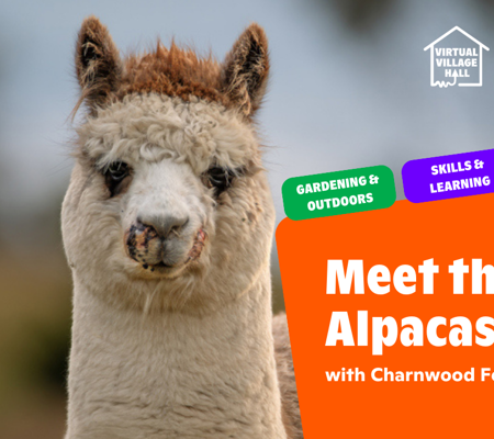 Text reads, "Meet the Alpacas with Charnwood Forest Alpacas" over the main image at the top of this page.
