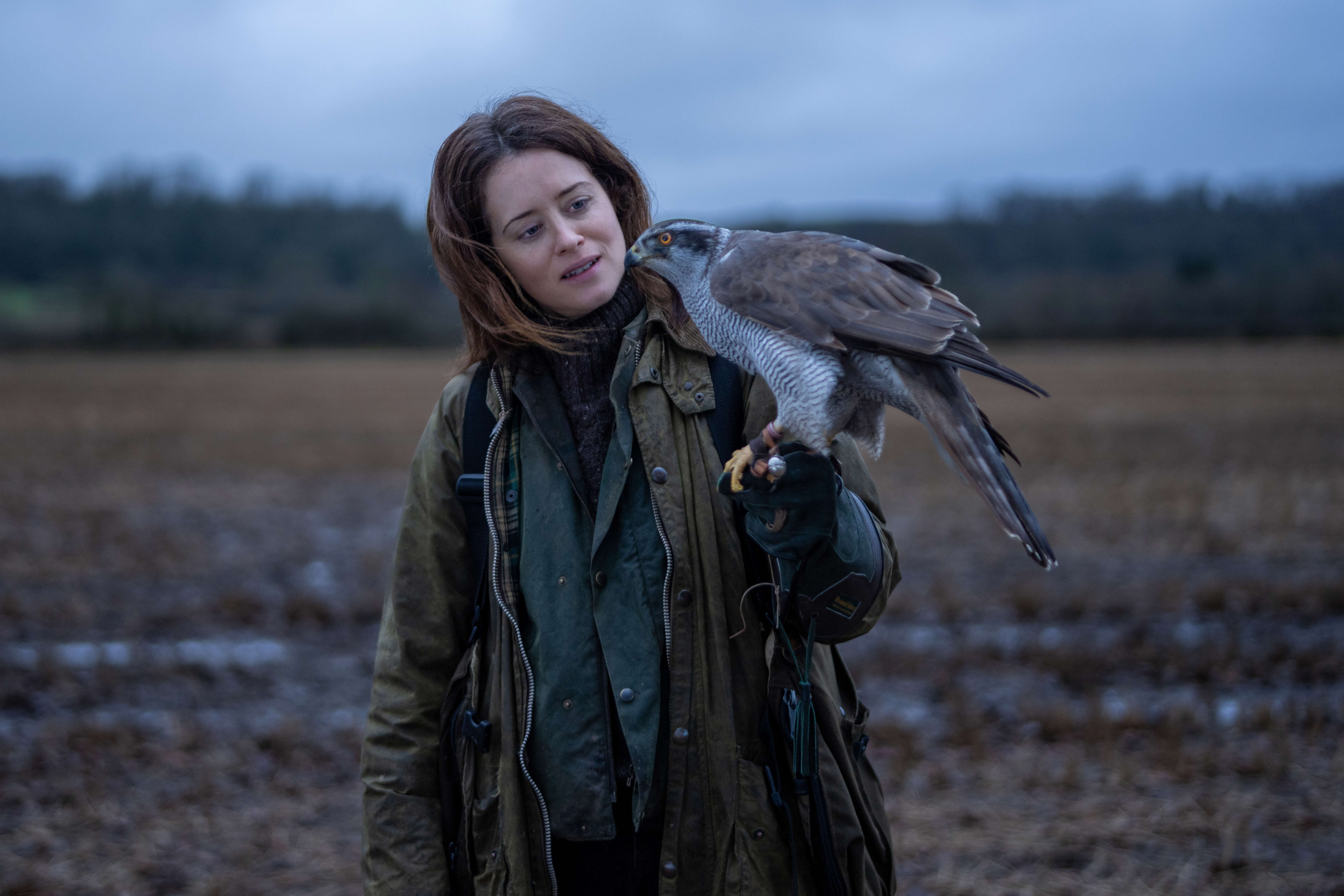 Main image: Claire Foy on the set of H is for Hawk, holding the goshawk Lottie.