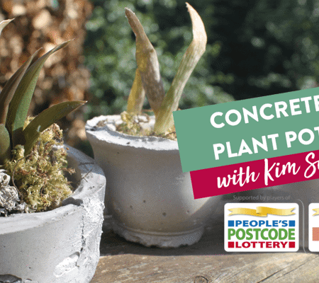 handmade concrete plant pots lined up on a garden wall