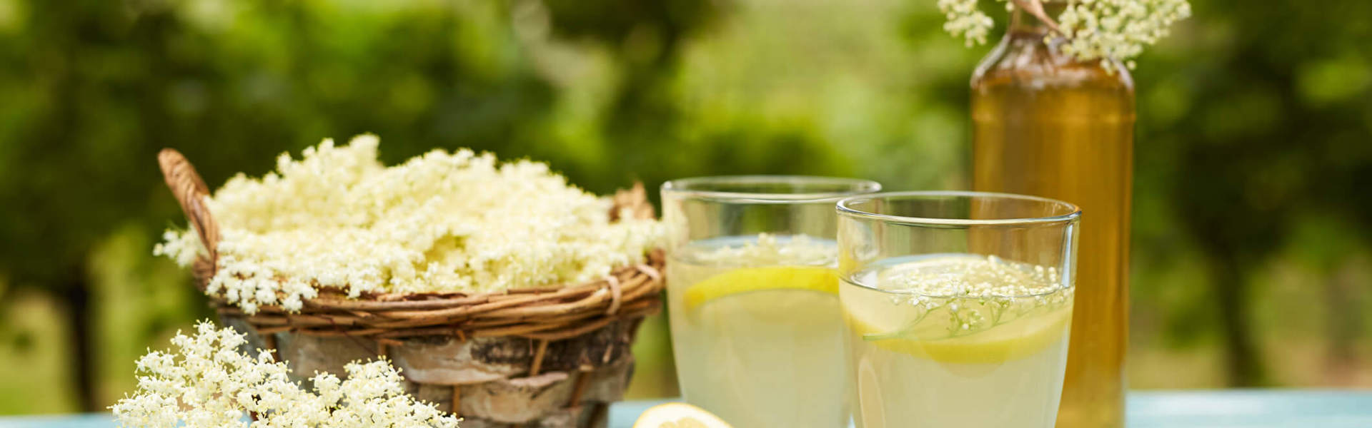two fresh homemade lemon cocktails on a blue painted picnic bench surrounded by bunches of elderflower and halved lemons