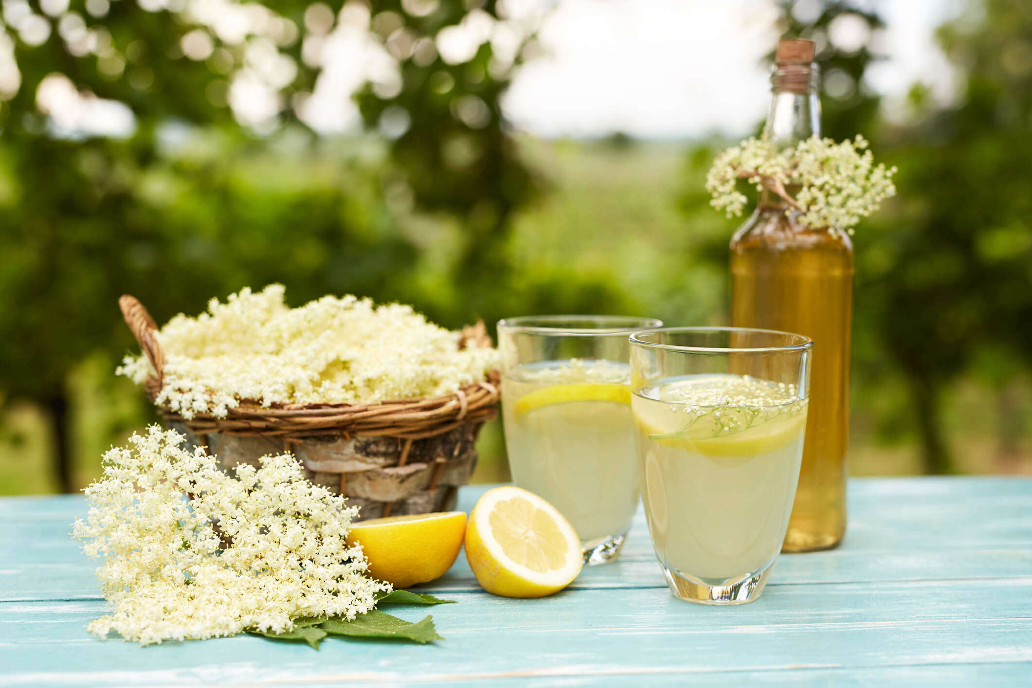 two fresh homemade lemon cocktails on a blue painted picnic bench surrounded by bunches of elderflower and halved lemons