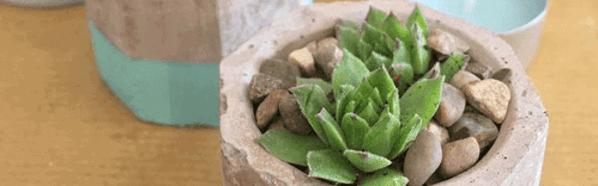 two handmade concrete plant pots made by Kim Searle
