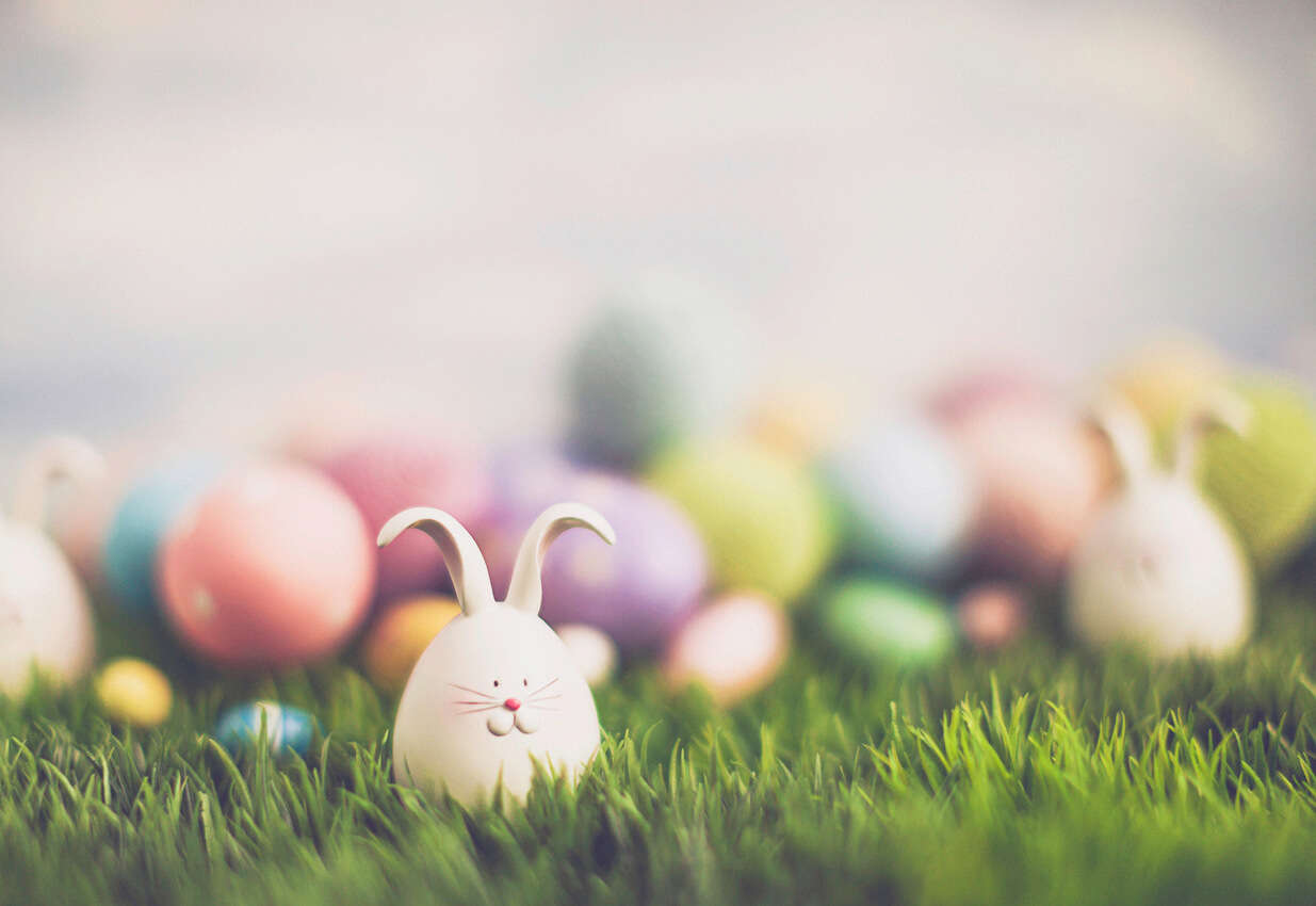 a small egg painted like an Easter bunny, resting amongst grass with colourful eggs laying in the background