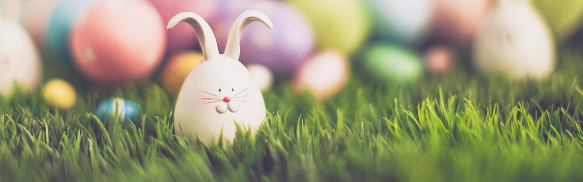 a small egg painted like an Easter bunny, resting amongst grass with colourful eggs laying in the background