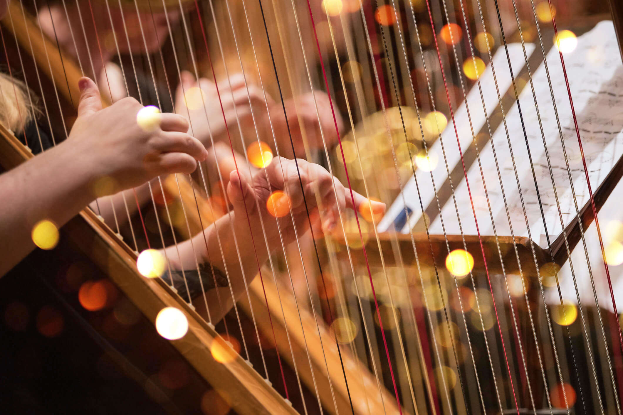 a close up of someone playing the harp with Christmas lights in the background