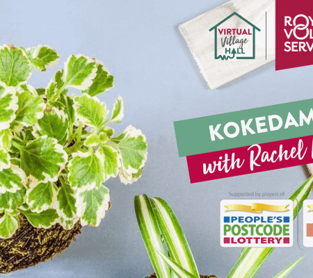 An ariel shot of a kokedama plant made by Rachel Moore