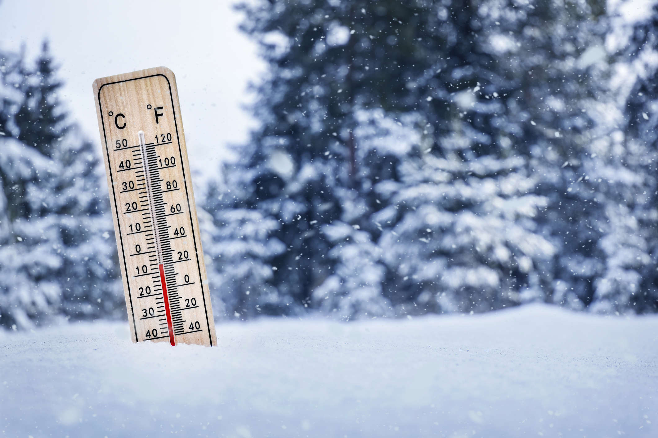 a thermometer resting in amongst the snow one a winter snow forest backdrop