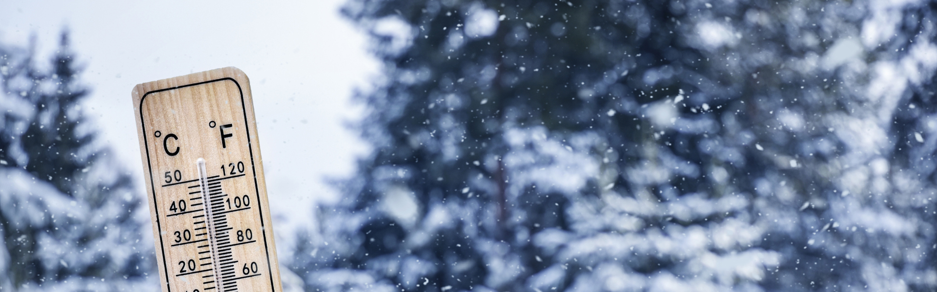 a thermometer resting in amongst the snow one a winter snow forest backdrop