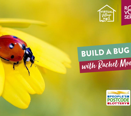 Build A Bug Hotel Rachel Moore Streamyard Thumbnail