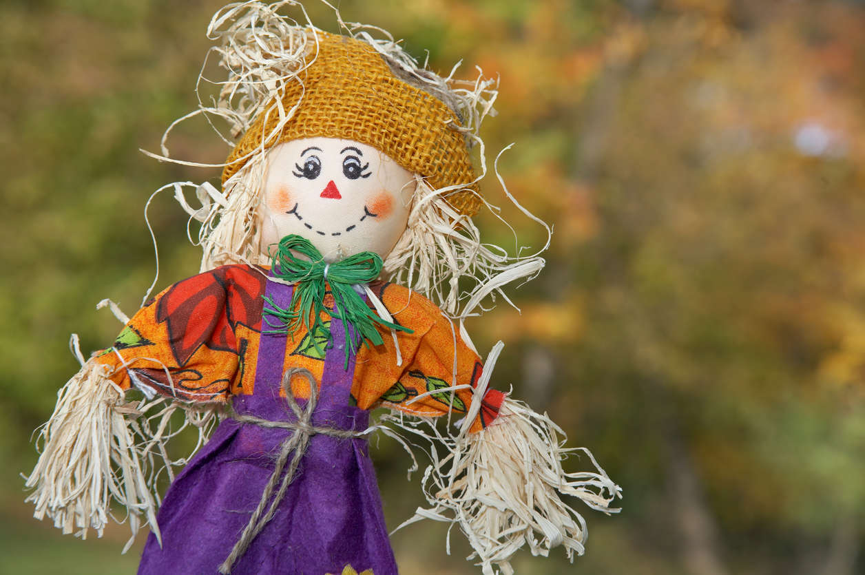 a picture of a garden scarecrow