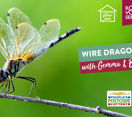 a close up of a dragonfly on a twig