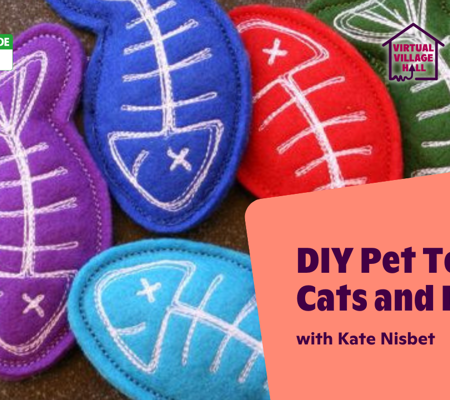 Text reads, "DIY Pet Toys For Cats And Dogs with Kate Nisbet " over the main image at the top of this page