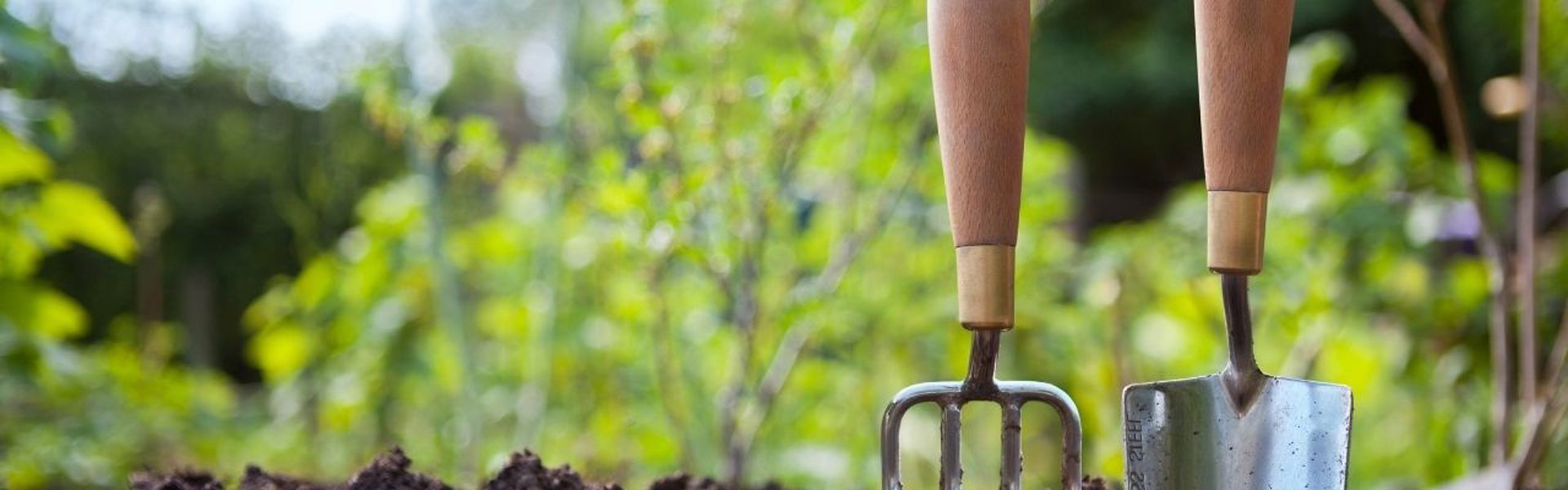 Main image: trowel and rake in the soil after preparing the ground for spring seedlings. 