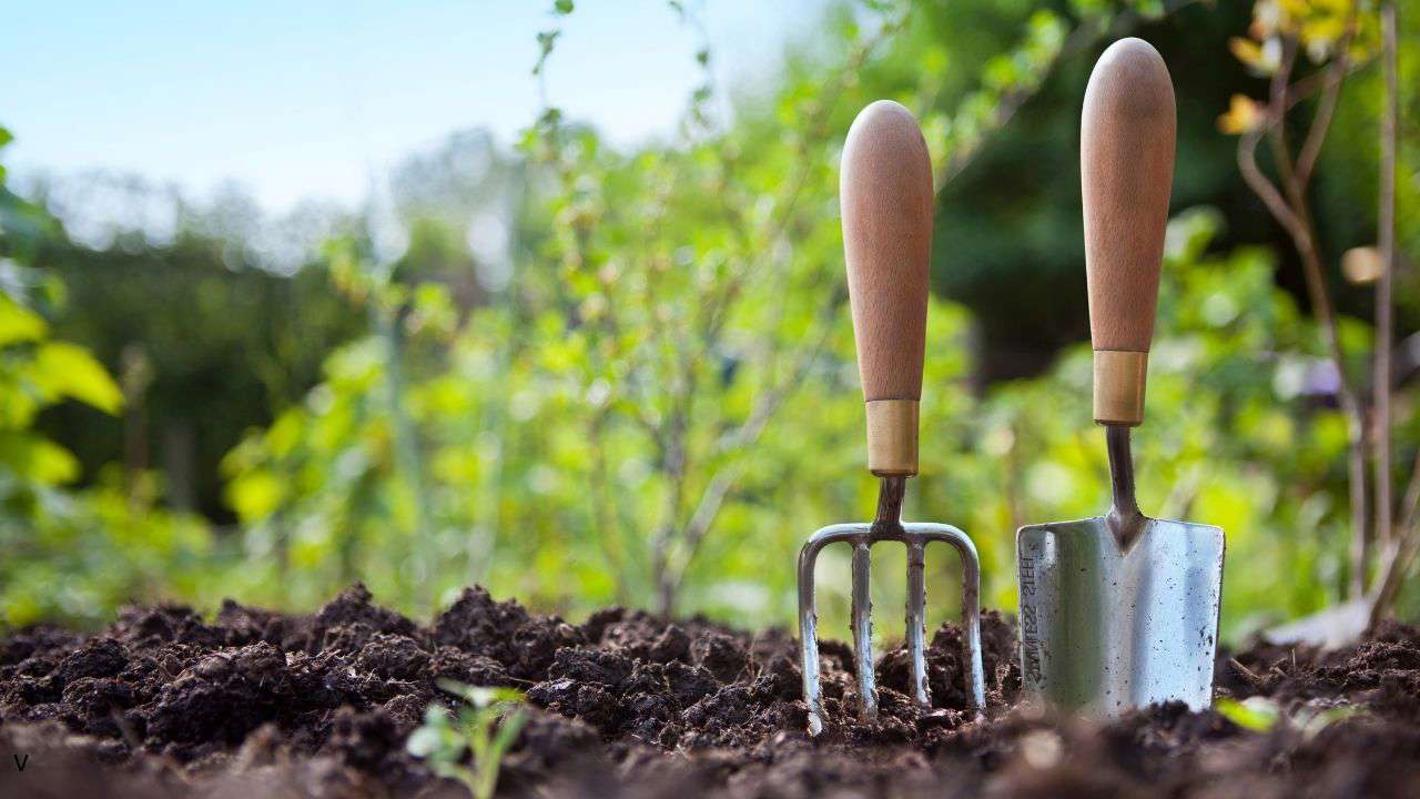 Main image: trowel and rake in the soil after preparing the ground for spring seedlings. 