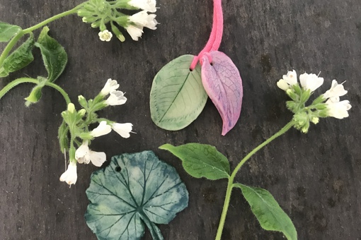 Homemade Air-Dry Clay Pendants and flowers on a black background