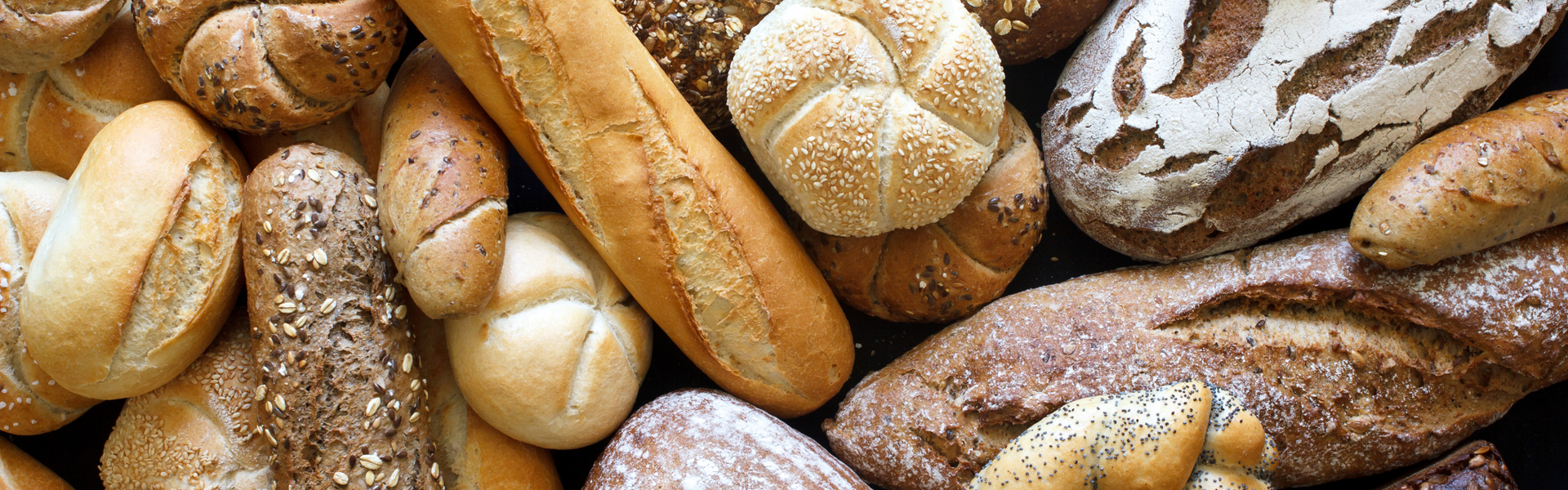 Main image: various types of no-knead bread loaves.