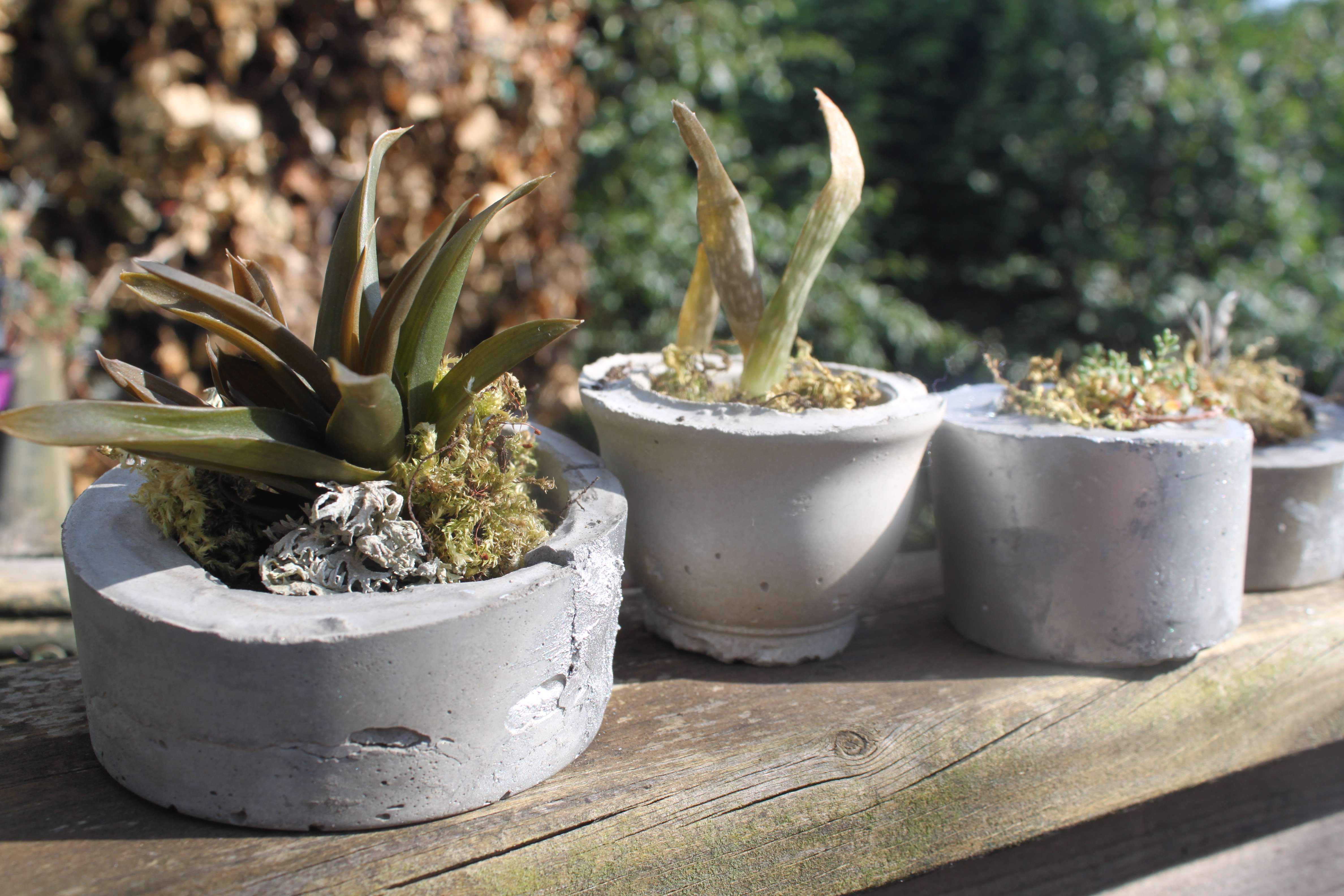 handmade concrete plant pots lined up on a garden wall